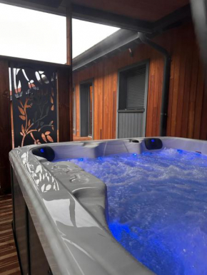 chalet zélcova avec spa à Gérardmer